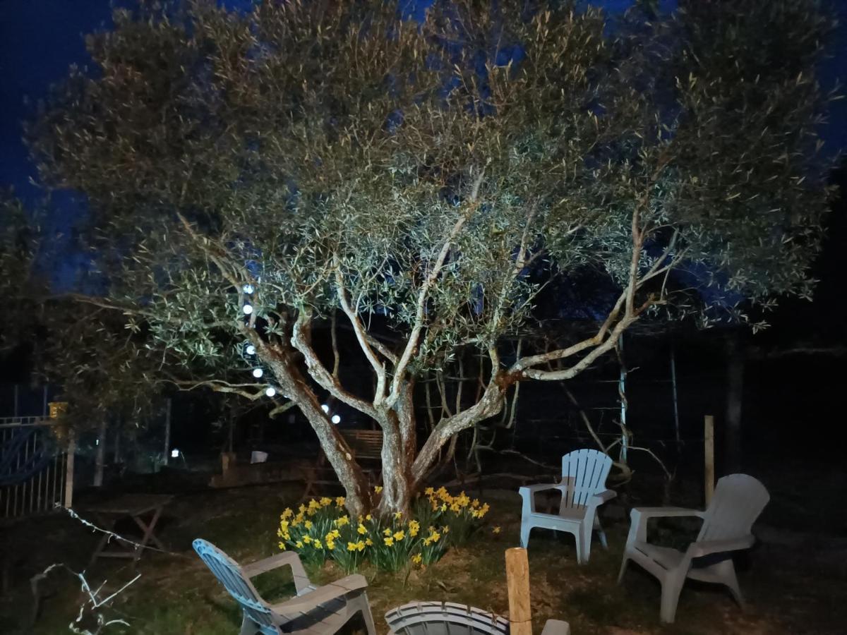Au Beaulieu Bed and Breakfast Beaulieu  Εξωτερικό φωτογραφία
